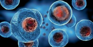 Illustration of exosome as small cell-derived vesicles involved in cellular communication and regenerative processes.